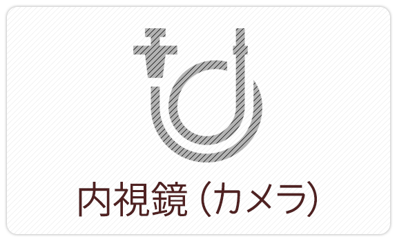検診　内視鏡（カメラ）